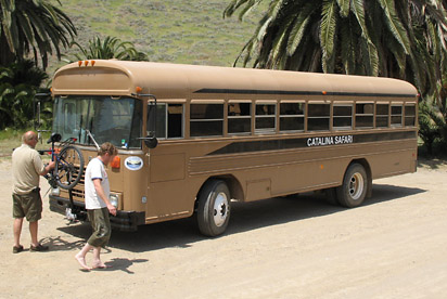 Safari Bus